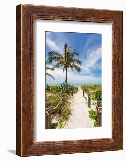 19 00841-Melanie Viola-Framed Photographic Print