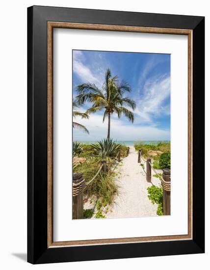 19 00841-Melanie Viola-Framed Photographic Print