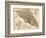 1900, Sonoma County Wall Map, California, United States-null-Framed Giclee Print