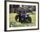 1903 Cadillac Model A-null-Framed Photographic Print