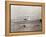 1903 Wright Brothers' Plane Taking Off at Kitty Hawk, North Carolina-null-Framed Premier Image Canvas