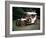 1904 Mercedes 28/32 Hp-null-Framed Photographic Print