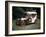 1904 Mercedes 28/32 Hp-null-Framed Photographic Print