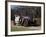 1909 Rolls-Royce Silver Ghost-null-Framed Photographic Print