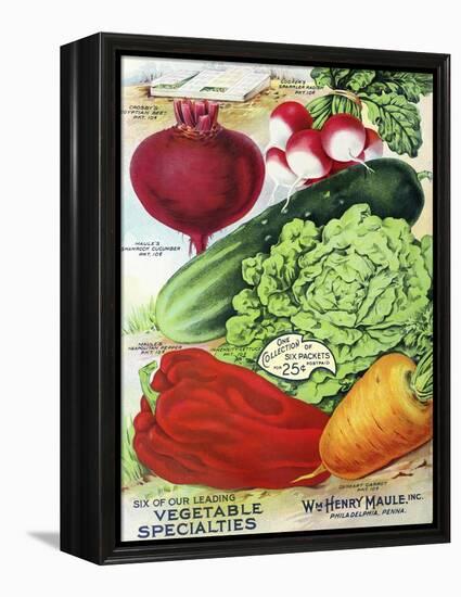 1915 Maule Seed Veggies-Vintage Apple Collection-Framed Premier Image Canvas