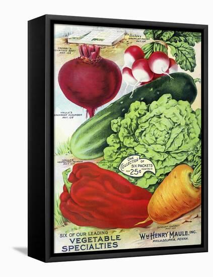 1915 Maule Seed Veggies-Vintage Apple Collection-Framed Premier Image Canvas