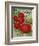 1915 Maule Tomato-Vintage Apple Collection-Framed Premium Giclee Print