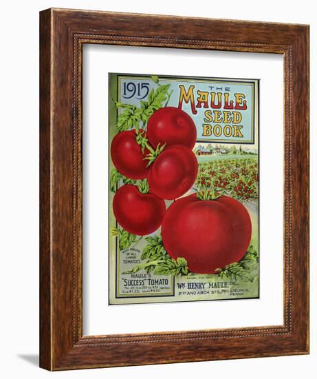 1915 Maule Tomato-Vintage Apple Collection-Framed Premium Giclee Print