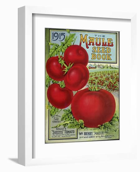 1915 Maule Tomato-Vintage Apple Collection-Framed Premium Giclee Print