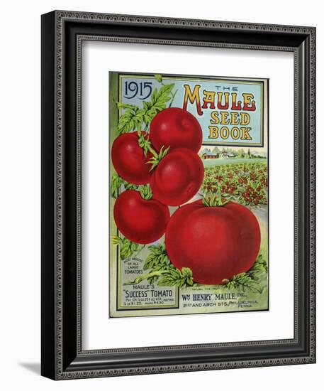 1915 Maule Tomato-Vintage Apple Collection-Framed Premium Giclee Print