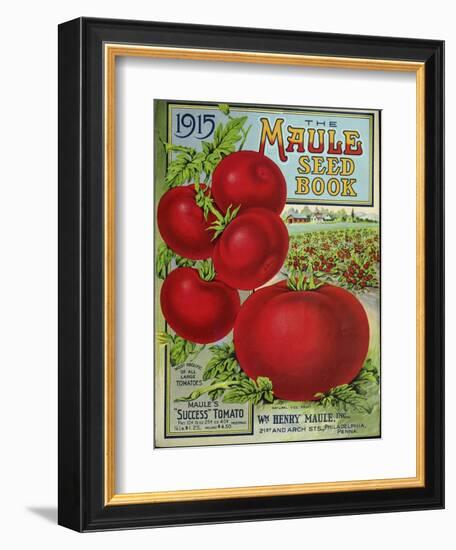 1915 Maule Tomato-Vintage Apple Collection-Framed Premium Giclee Print