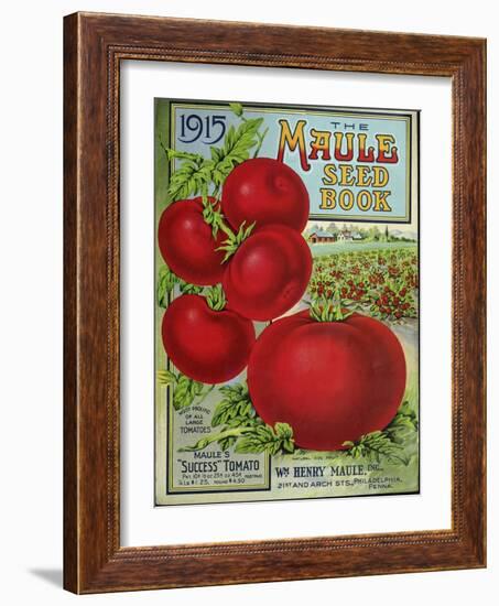 1915 Maule Tomato-Vintage Apple Collection-Framed Giclee Print