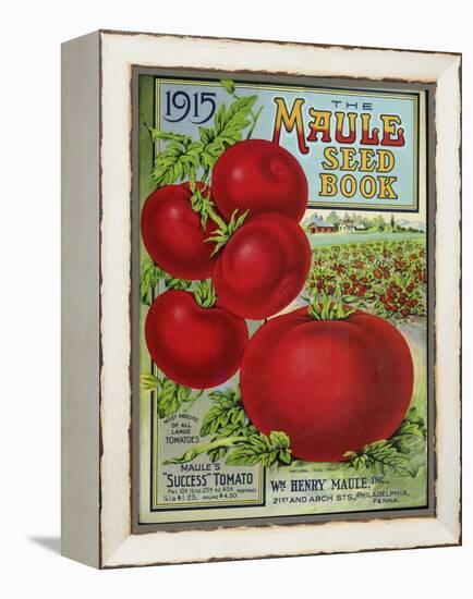 1915 Maule Tomato-Vintage Apple Collection-Framed Premier Image Canvas