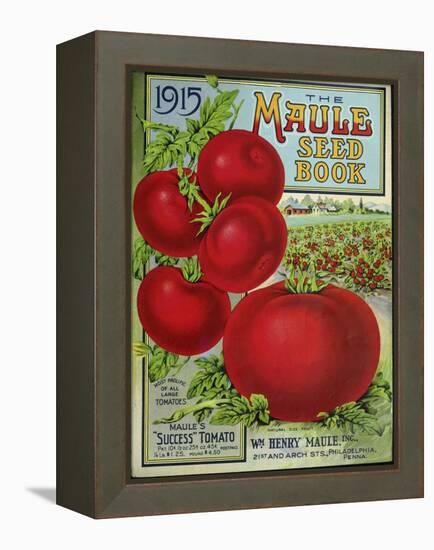 1915 Maule Tomato-Vintage Apple Collection-Framed Premier Image Canvas