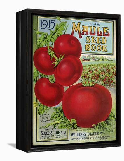 1915 Maule Tomato-Vintage Apple Collection-Framed Premier Image Canvas