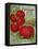 1915 Maule Tomato-Vintage Apple Collection-Framed Premier Image Canvas