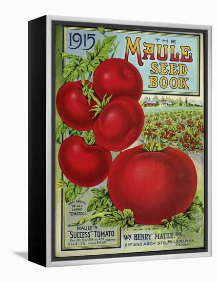 1915 Maule Tomato-Vintage Apple Collection-Framed Premier Image Canvas