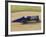 1920 Sunbeam 350 Hp Racing Car-null-Framed Photographic Print