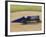 1920 Sunbeam 350 Hp Racing Car-null-Framed Photographic Print