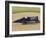 1920 Sunbeam 350 Hp Racing Car-null-Framed Photographic Print