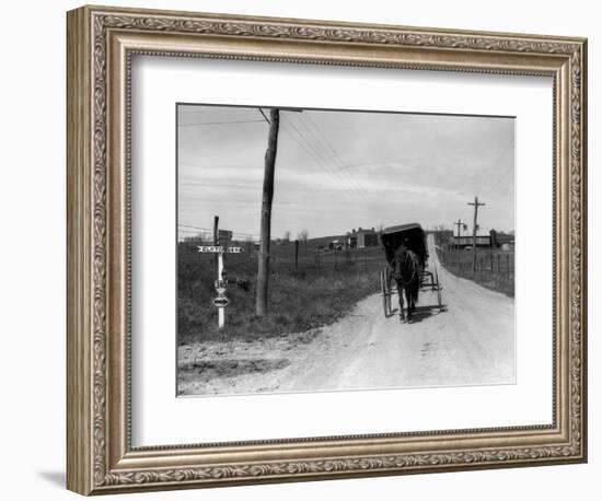 1920s-1930s Amish Man Driving Buggy Down Rural Dirt Road in Farm Country-null-Framed Photographic Print