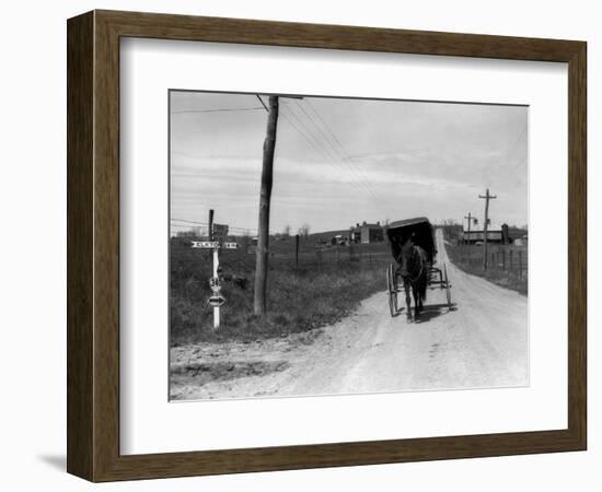 1920s-1930s Amish Man Driving Buggy Down Rural Dirt Road in Farm Country-null-Framed Photographic Print