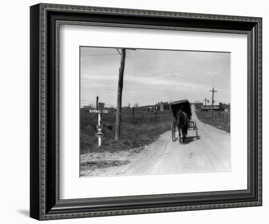 1920s-1930s Amish Man Driving Buggy Down Rural Dirt Road in Farm Country-null-Framed Photographic Print