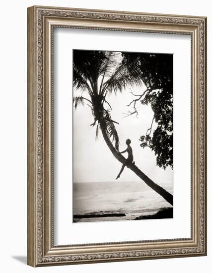 1920s ANONYMOUS SILHOUETTED YOUNG WOMAN MOVIE ACTRESS CLIMBING SITTING ON PALM TREE TRUNK SUSPEN...-H. Armstrong Roberts-Framed Photographic Print