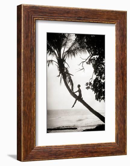 1920s ANONYMOUS SILHOUETTED YOUNG WOMAN MOVIE ACTRESS CLIMBING SITTING ON PALM TREE TRUNK SUSPEN...-H. Armstrong Roberts-Framed Photographic Print