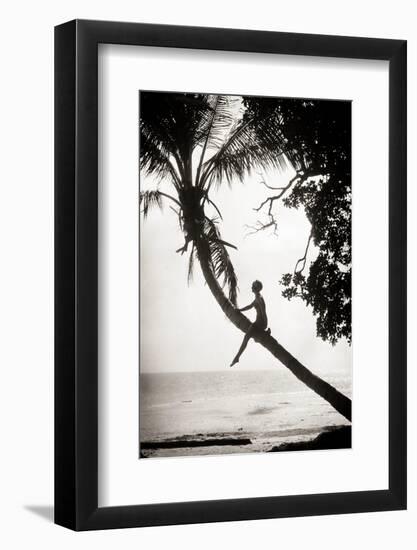 1920s ANONYMOUS SILHOUETTED YOUNG WOMAN MOVIE ACTRESS CLIMBING SITTING ON PALM TREE TRUNK SUSPEN...-H. Armstrong Roberts-Framed Photographic Print