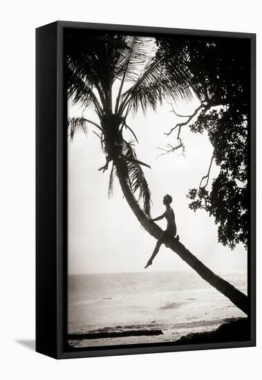 1920s ANONYMOUS SILHOUETTED YOUNG WOMAN MOVIE ACTRESS CLIMBING SITTING ON PALM TREE TRUNK SUSPEN...-H. Armstrong Roberts-Framed Premier Image Canvas