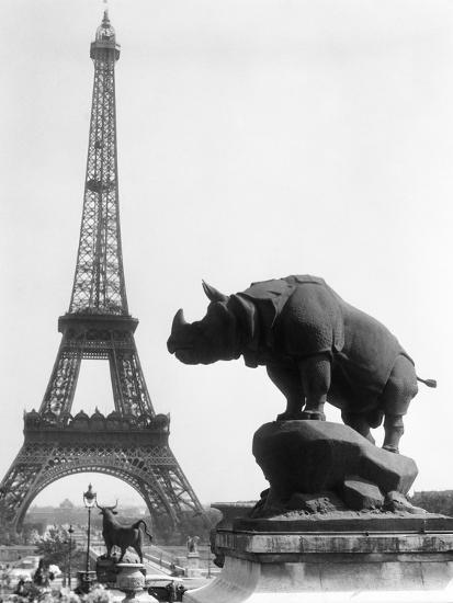 Photographic Print, , large