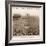 1921 Fa Cup Final-null-Framed Photographic Print