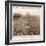 1921 Fa Cup Final-null-Framed Photographic Print