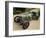 1922 Aston Martin Grand Prix Racing Car-null-Framed Photographic Print