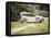 1929 Packard Model 640-null-Framed Premier Image Canvas