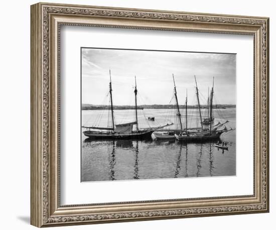 1930s-1940s Sailing Ships at Anchor Havana Harbor Cuba-null-Framed Photographic Print