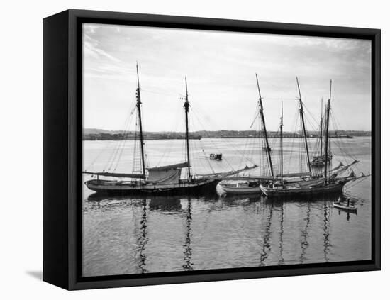 1930s-1940s Sailing Ships at Anchor Havana Harbor Cuba-null-Framed Premier Image Canvas