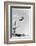 1930s 1940s SHAPELY WOMAN WATCHING MAN SWAN DIVE OFF HIGH DIVING BOARD-H. Armstrong Roberts-Framed Photographic Print