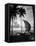 1930s Single Catamaran on Tropical Beach at Sunset Palm Trees Sri Lanka-null-Framed Premier Image Canvas