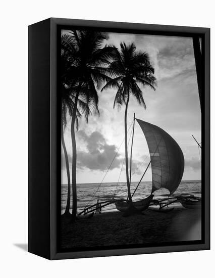 1930s Single Catamaran on Tropical Beach at Sunset Palm Trees Sri Lanka-null-Framed Premier Image Canvas