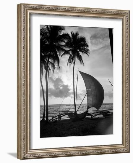 1930s Single Catamaran on Tropical Beach at Sunset Palm Trees Sri Lanka-null-Framed Photographic Print