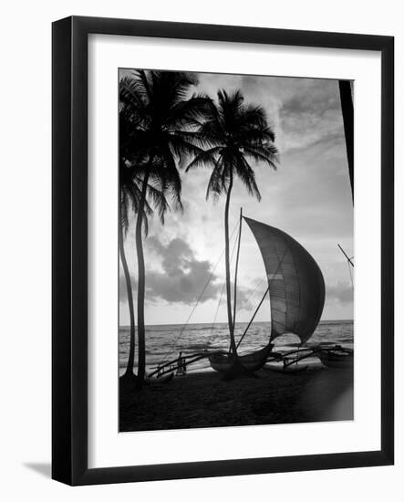 1930s Single Catamaran on Tropical Beach at Sunset Palm Trees Sri Lanka-null-Framed Photographic Print