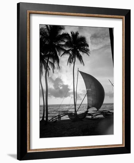 1930s Single Catamaran on Tropical Beach at Sunset Palm Trees Sri Lanka-null-Framed Photographic Print