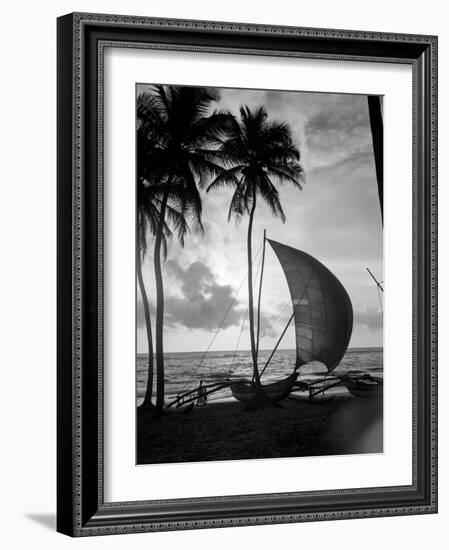 1930s Single Catamaran on Tropical Beach at Sunset Palm Trees Sri Lanka-null-Framed Photographic Print