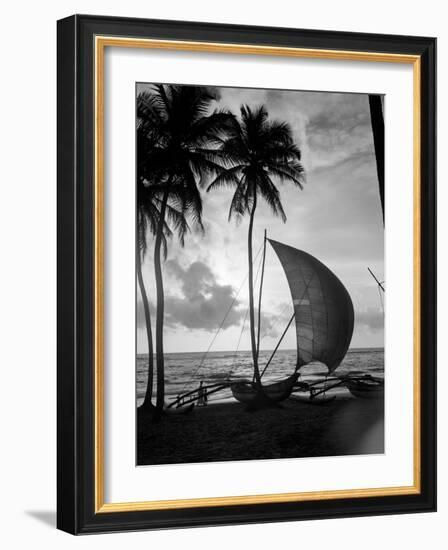 1930s Single Catamaran on Tropical Beach at Sunset Palm Trees Sri Lanka-null-Framed Photographic Print