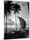 Premium Photographic Print
