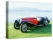 Stretched Canvas Print