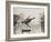 1936 Berlin Olympics-Robert Hunt-Framed Photographic Print