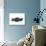 1936 Chevrolet-Bowtie-null-Art Print displayed on a wall